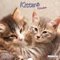 Enlarge image Cover: Kätzchen 2016 - Tushita PaperArt GmbH