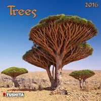 Enlarge image Cover: Trees 2016 - Tushita PaperArt GmbH