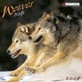 Cover: Wölfe 2016 - Tushita PaperArt GmbH
