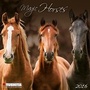 Cover: Magic Horses 2016 - Tushita PaperArt GmbH