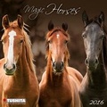 Cover: Magic Horses 2016 - Tushita PaperArt GmbH