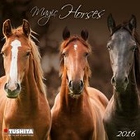 Enlarge image Cover: Magic Horses 2016 - Tushita PaperArt GmbH