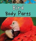 Cover: Bird Body Parts - Raintree Publishers