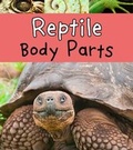 Cover: Reptile Body Parts - Raintree Publishers