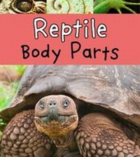 Enlarge image Cover: Reptile Body Parts - Raintree Publishers