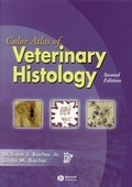 Bild: Color Atlas of Veterinary Histology - Blackwell Publishers
