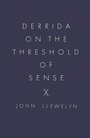 Cover: Derrida on the Threshold of Sense - Palgrave Macmillan