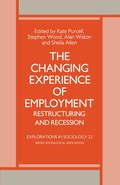 Cover: The Changing Experience of Employment - Palgrave Macmillan