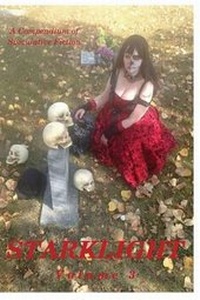 Enlarge image Cover: StarkLight Volume 3 - StarkLight Press