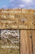 Cover: Meaning to Go to the Origin in Some Way - Shearsman Books