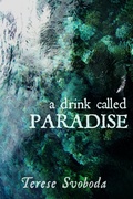 Cover: A Drink Called Paradise - Dzanc Books