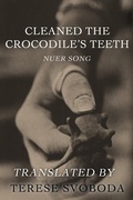 Cover: Cleaned the Crocodile's Teeth - Dzanc Books