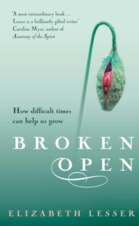 Enlarge image Cover: Broken Open - Pimlico