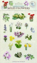 Cover: Wild Flowers - Fine Feather Press Ltd