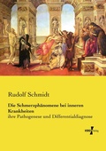Cover: Die Schmerzphaenomene bei inneren Krankheiten - Vero Verlag