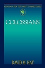 Cover: Colossians - Abingdon Press