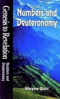 Cover: Numbers and Deuteronomy - Abingdon Press