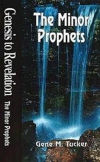 Enlarge image Cover: The Minor Prophets - Abingdon Press