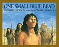 Cover: One Small Blue Bead - Prentice Hall & IBD