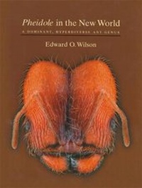 Abbildung von: Pheidole in the New World - Harvard University Press