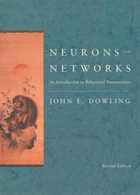 Abbildung von: Neurons and Networks - The Belknap Press