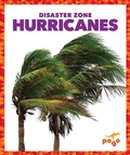 Cover: Hurricanes - Pogo Books