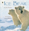 Cover: Ice Bear - Walker Books Ltd
