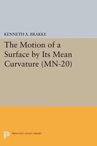 Abbildung von: The Motion of a Surface by Its Mean Curvature - Princeton University Press