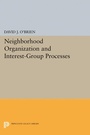 Cover: Neighborhood Organization and Interest-Group Processes - Princeton University Press