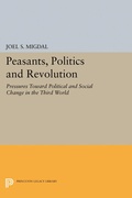 Cover: Peasants, Politics and Revolution - Princeton University Press