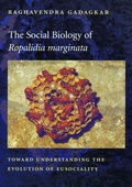 Cover: The Social Biology of Ropalidia marginata - Harvard University Press