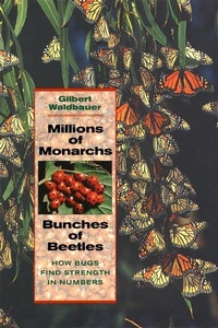 Abbildung von: Millions of Monarchs, Bunches of Beetles - Harvard University Press
