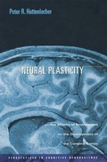Cover: Neural Plasticity - Harvard University Press