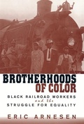 Cover: Brotherhoods of Color - Harvard University Press