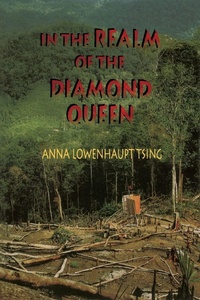 Enlarge image Cover: In the Realm of the Diamond Queen - Princeton University Press
