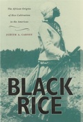 Cover: Black Rice - Harvard University Press