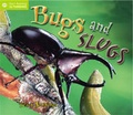 Cover: Bugs and Slugs - QED Publishing