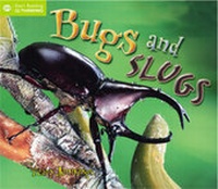 Enlarge image Cover: Bugs and Slugs - QED Publishing