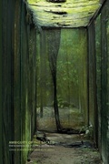 Cover: Ambiguity of the Sacred - Sodertorn University