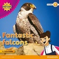 Cover: My Gulf World and Me Level 4 non-fiction reader: Fantastic falcons - Pearson Education Limited