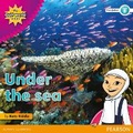 Cover: My Gulf World and Me Level 5 non-fiction reader: Under the sea - Pearson Education Limited
