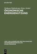 Cover: &Ouml;konomische Energienutzung - De Gruyter Oldenbourg