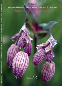 Abbildung von: Wilde Blumen. Fleurs sauvages. Wild Flowers - Zerr, Sibylle