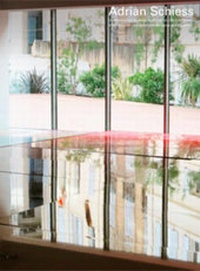 Enlarge image Cover: Adrian Schiess - A Perfectly Normal, Traditional Discourse About Painting - Analogues