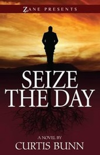 Enlarge image Cover: Seize the Day - Strebor Books