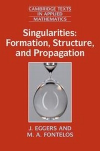 Enlarge image Cover: Singularities: Formation, Structure, and Propagation - Cambridge University Press