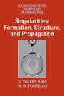 Cover: Singularities: Formation, Structure, and Propagation - Cambridge University Press