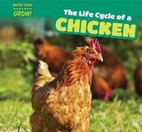 Enlarge image Cover: The Life Cycle of a Chicken - PowerKids Press