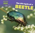 Cover: The Life Cycle of a Beetle - PowerKids Press