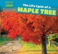 Cover: The Life Cycle of a Maple Tree - PowerKids Press